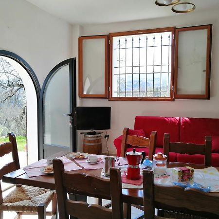 Casa Pancole Il Tinello Appartamento Cavriglia Esterno foto